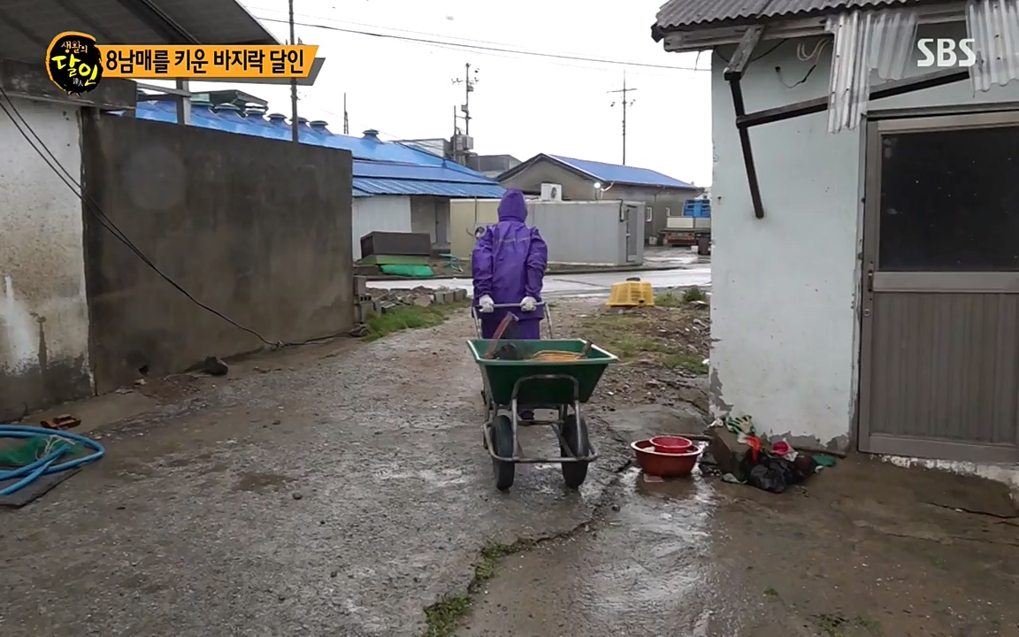 생활의 달인.E835.220322p-NEXT.mp4_20220322_183436.261.jpg