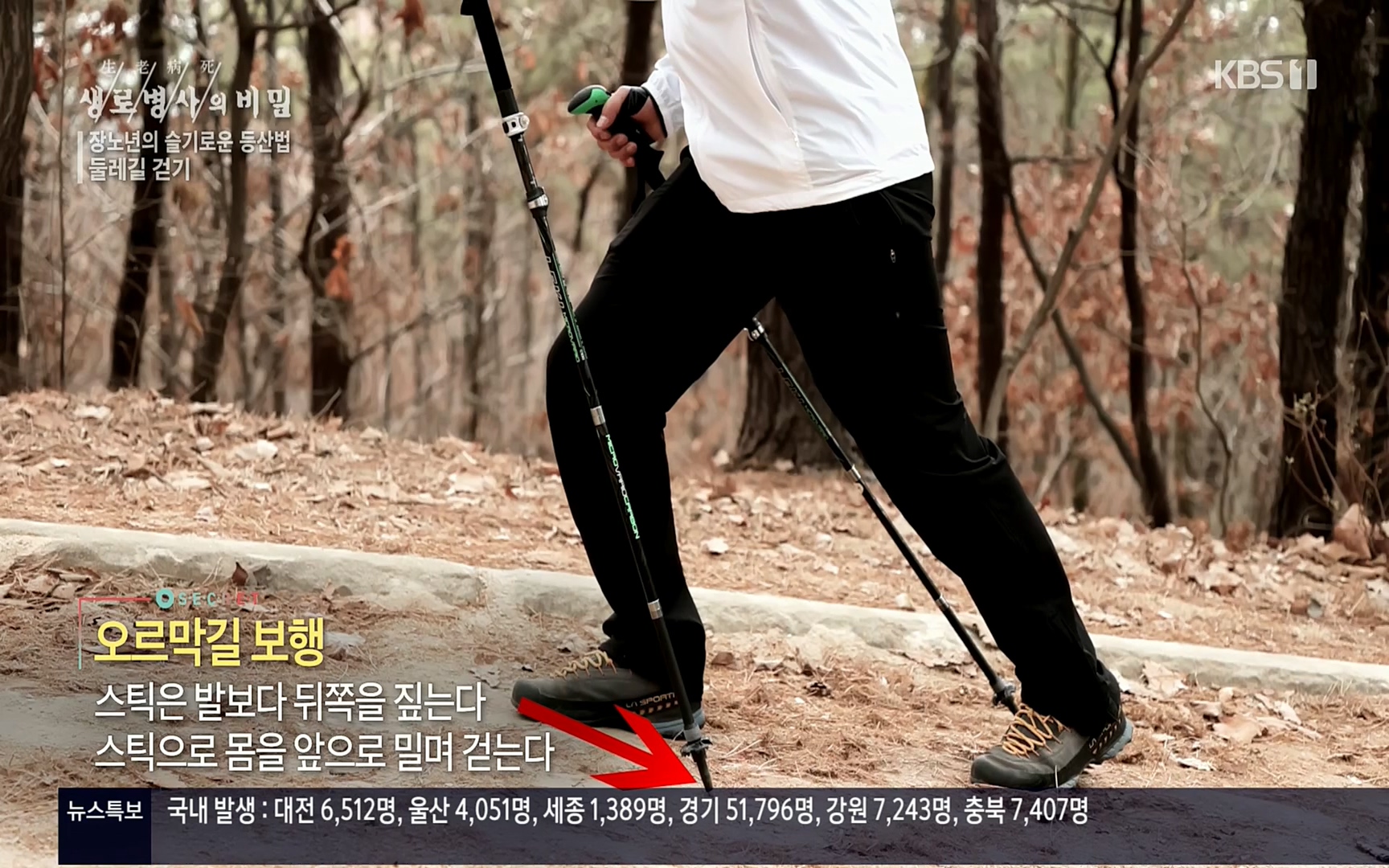생로병사의 비밀.E816.220413p.H264-F1RST.mp4_20220414_192451.149.jpg