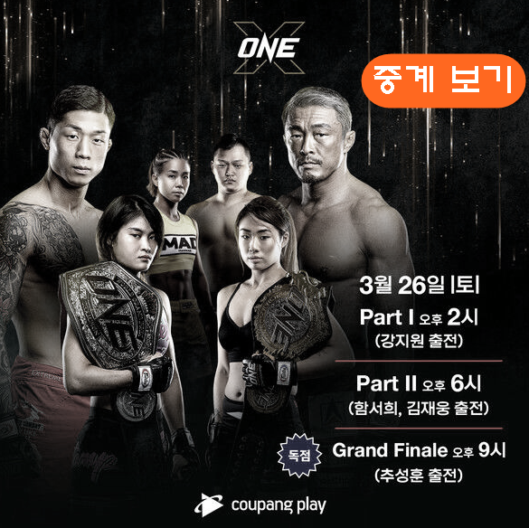  추성훈 아오키신야 중계 ONE FC 중계 시청