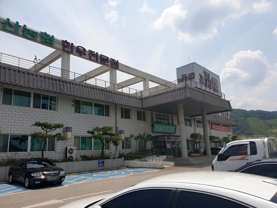 상주 맛집탐방 상주축협 명실상감한우 점심특선 상감한우탕, 육회비빔밥 후기 - 상주 명실상감한우 후기 상주 맛집탐방 상주축협 명실상감한우 점심특선 상감한우탕, 육회비빔밥 후기 - 상주 명실상감한우 후기