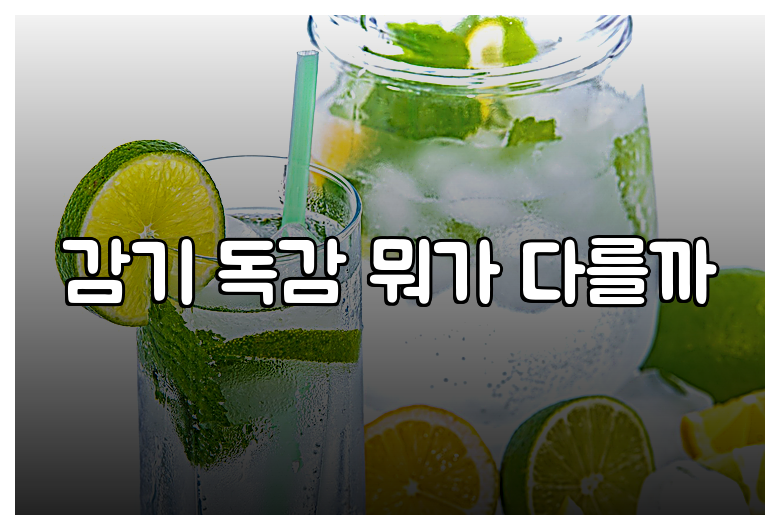 감기 독감 뭐가 다를까