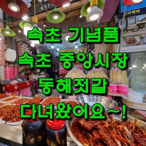  속초 기념품 Best3 중앙시장 동해젓갈에서 꼴뚜기 젓갈 사왔습니다~!