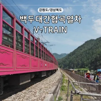 백두대간협곡열차 v-train 예매 시간표 영주 철암_9