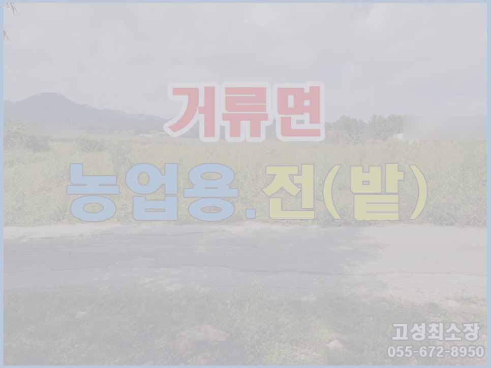  (매매완료) 경남고성부동산 거류면 농업용 밭 매매 1008(305)