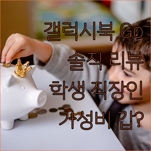갤럭시북 Go 솔직 리뷰 학생, 직장