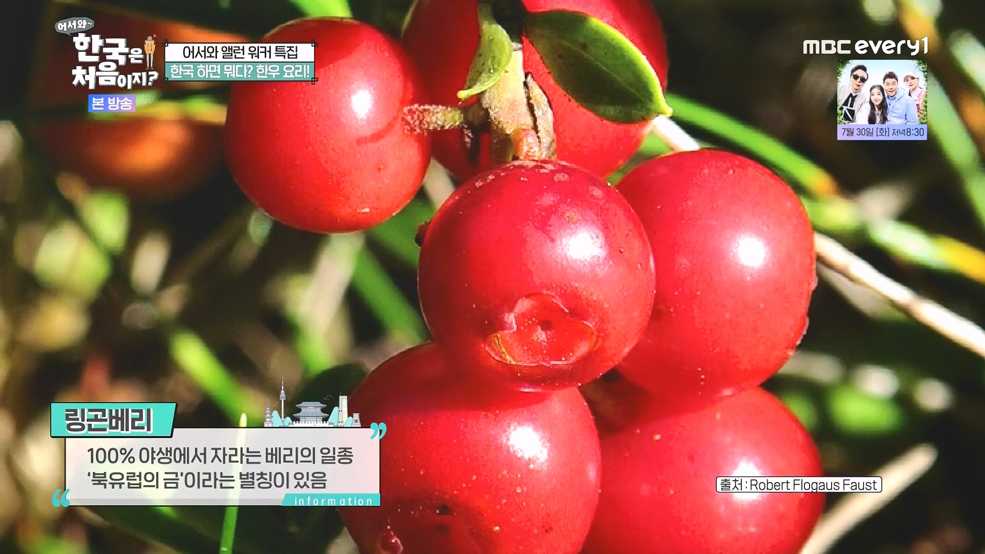 어서와 한국은 처음이지.E324.240725p.WANNA.mp4_20240726_203452.249.jpg