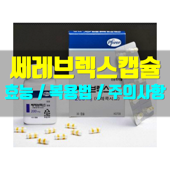  쎄레브렉스 캡슐 200mg 의약품 정보