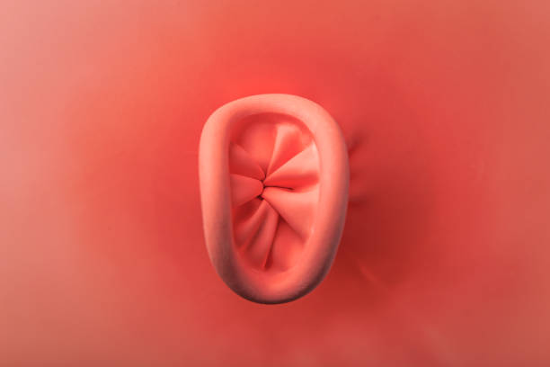 항문에서 피가나는 이유 자세히 23