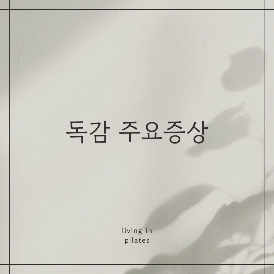 독감 주요증상