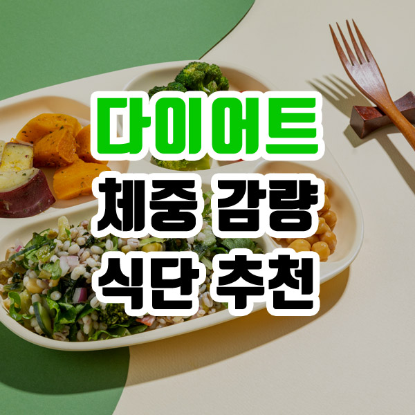 다이어트 체중감량 식단 추천