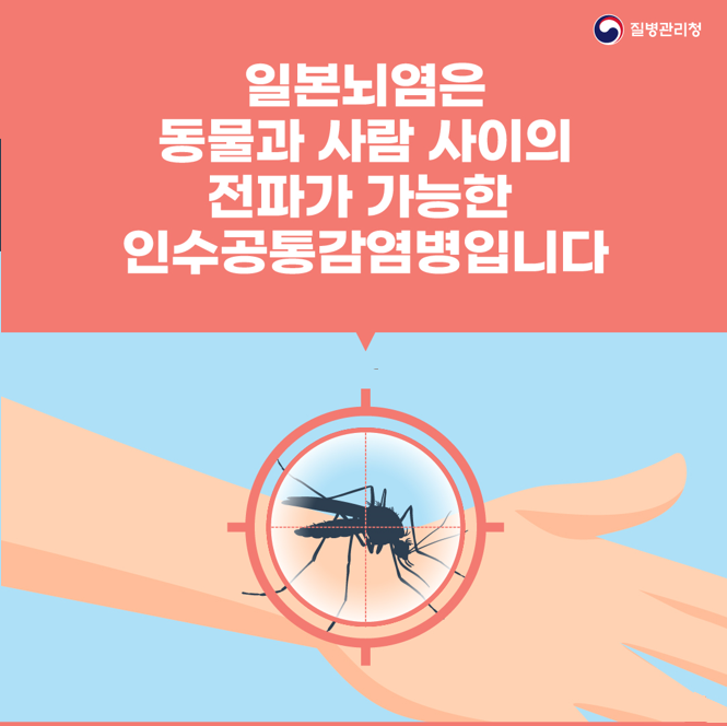 일본뇌염