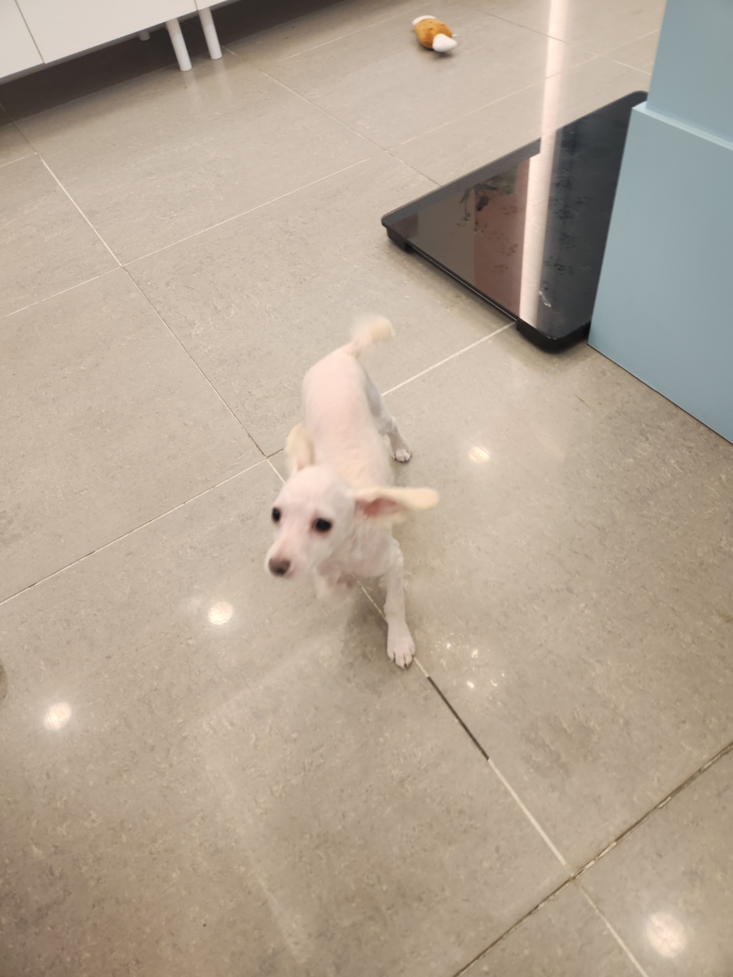 보리미용실 이미지