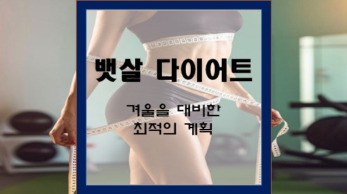 뱃살-다이어트