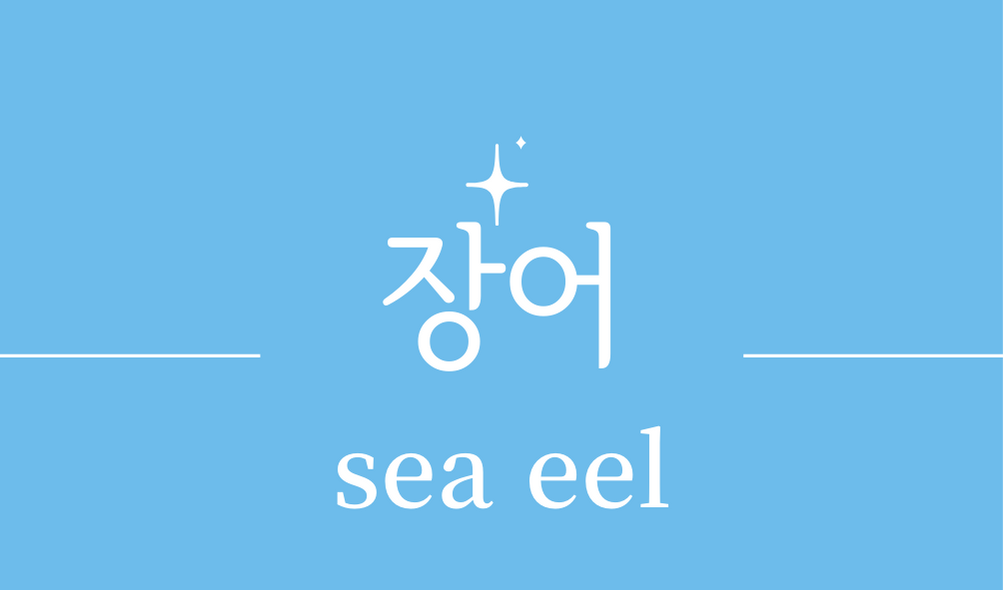 &#39;장어(sea ​​eel)&#39;