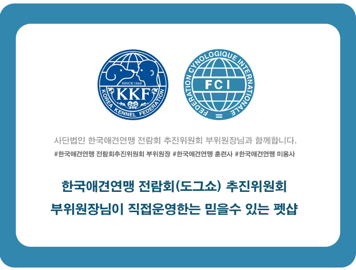  토이푸들분양 한국애견연맹 위원장님과 함께.