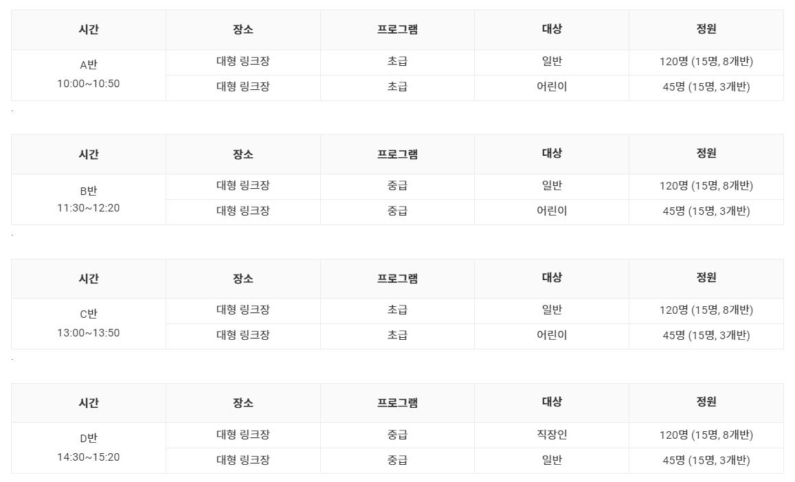 서울광장 스케이트장 강습 시간표