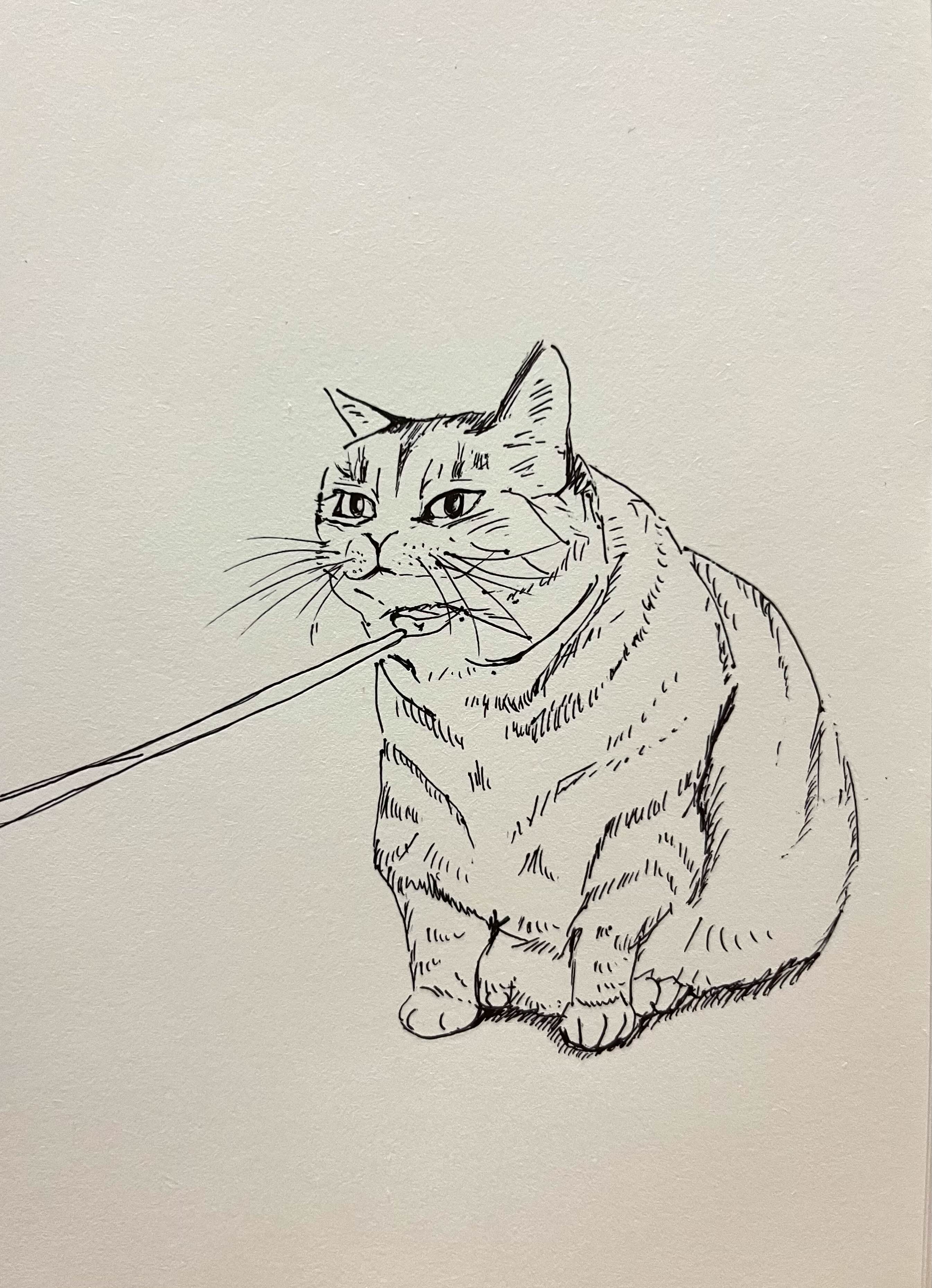  [취미생활 : 그림] 닝겐.. 시원하다~ (고양이 그림 : 펜그림)