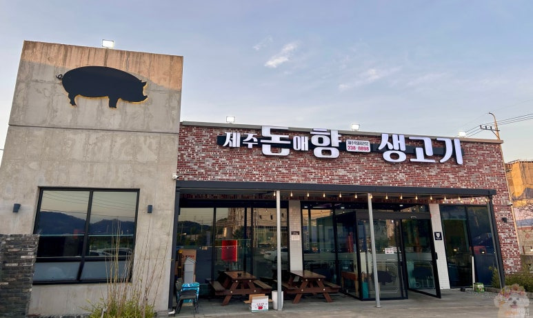 제주돈이다 이미지