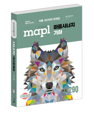 마플시너지 기하 교재 표지