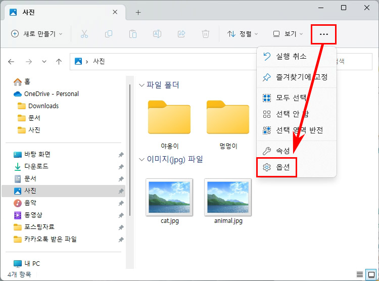 Windows 11 폴더 옵션