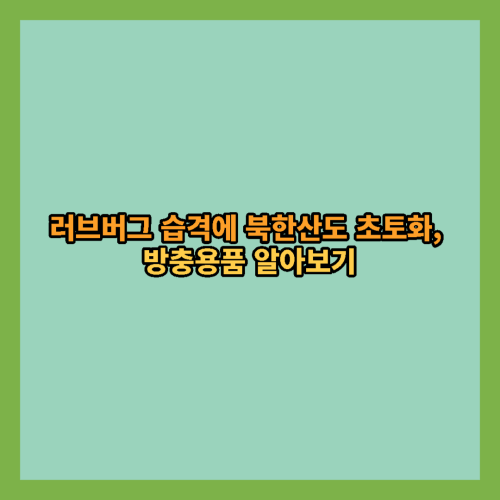  러브버그 습격에 북한산도 초토화, 방충용품 알아보기