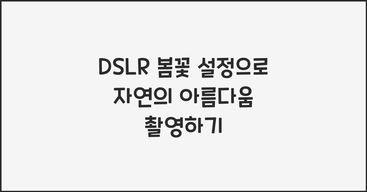 DSLR 봄꽃 설정