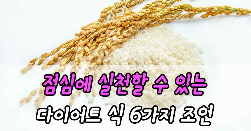  먹으면서 마르고 싶다? 점심에 실천할 수 있는 다이어트 식 6가지 조언