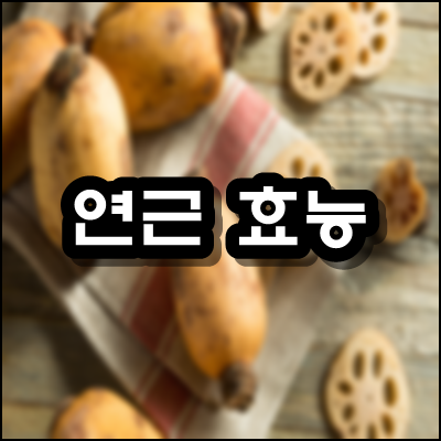  연근 효능 대표적인 것 5가지