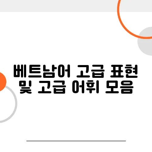 베트남어 고급 표현 및 고급 어휘 모음