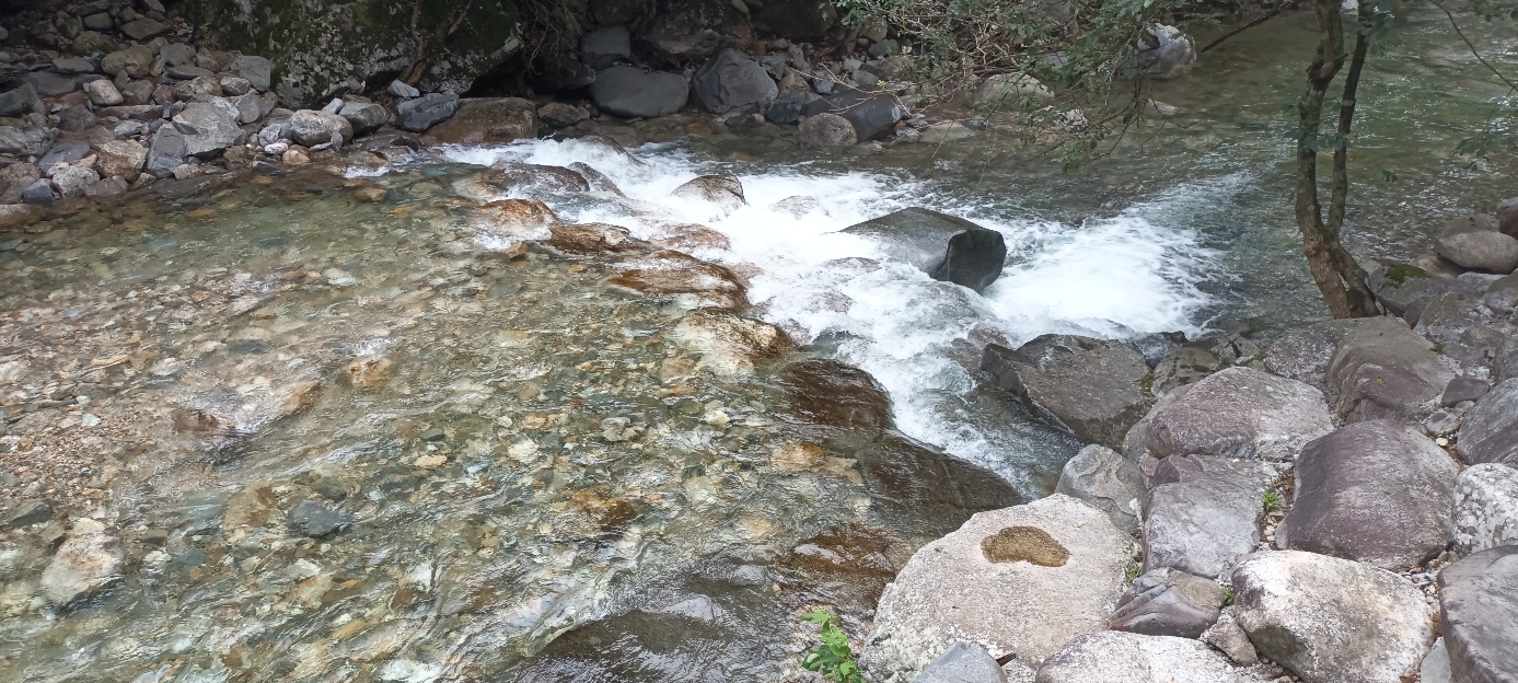 소백산국립공원 남천야영장 특화야영장 이미지