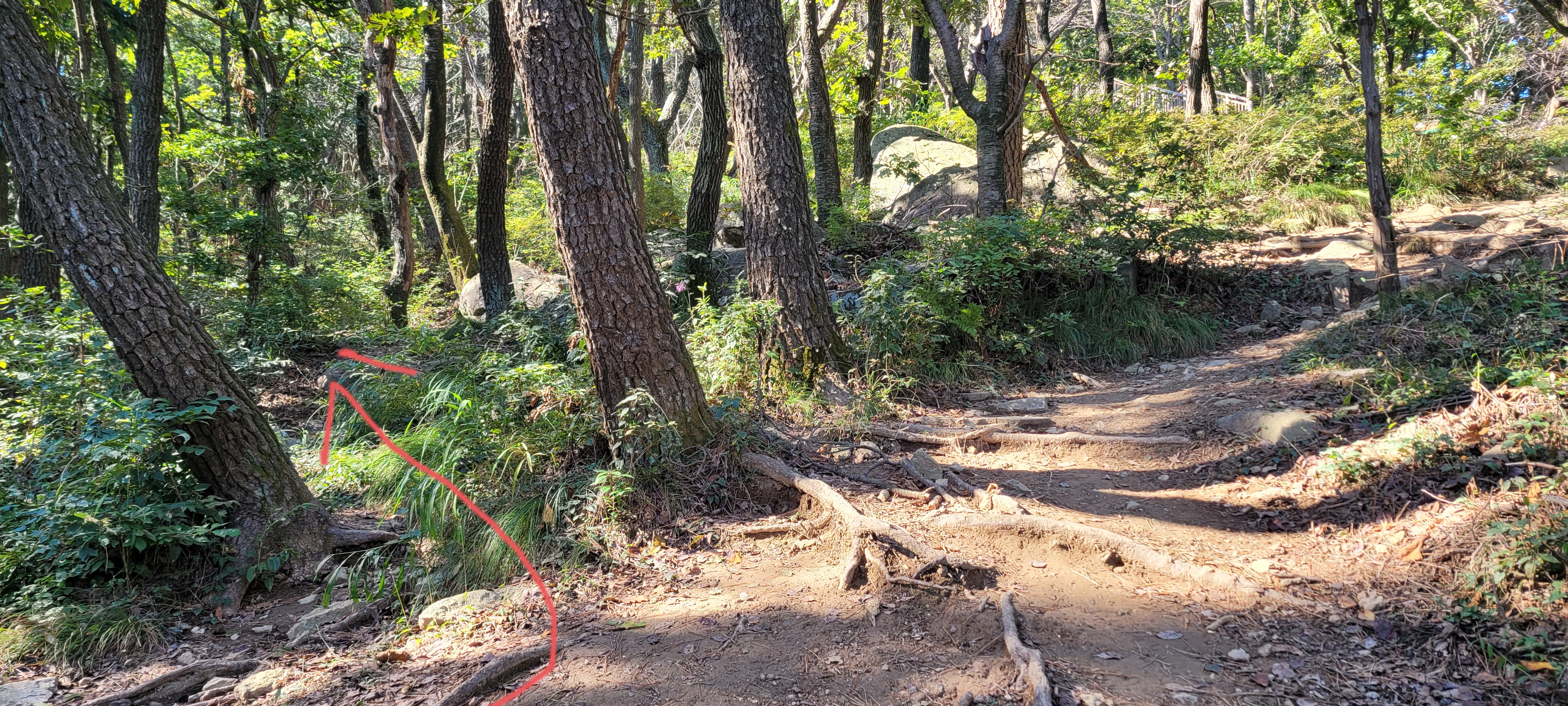  백양산 종주