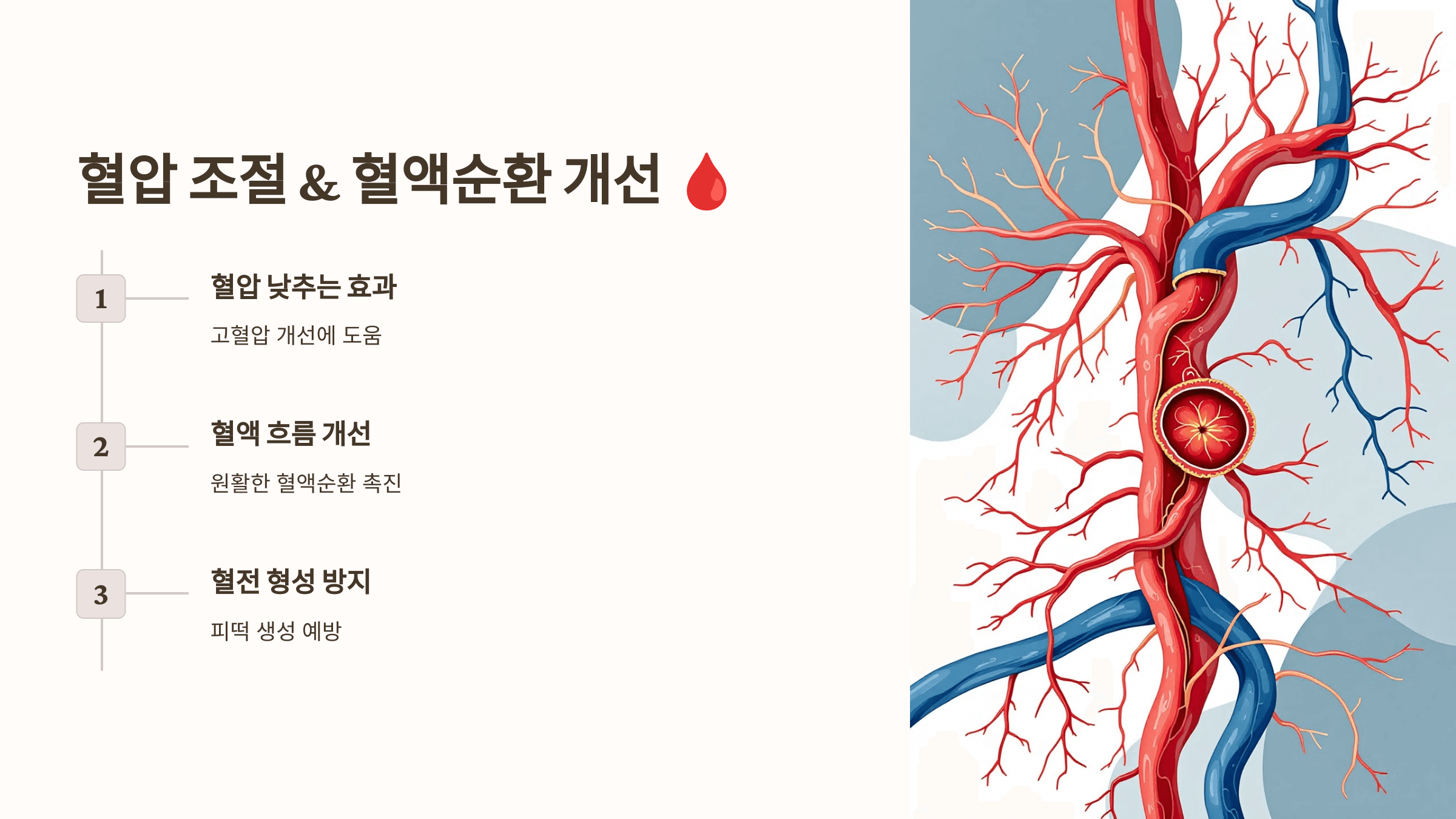 오메가3와 관련된 사진입니다.