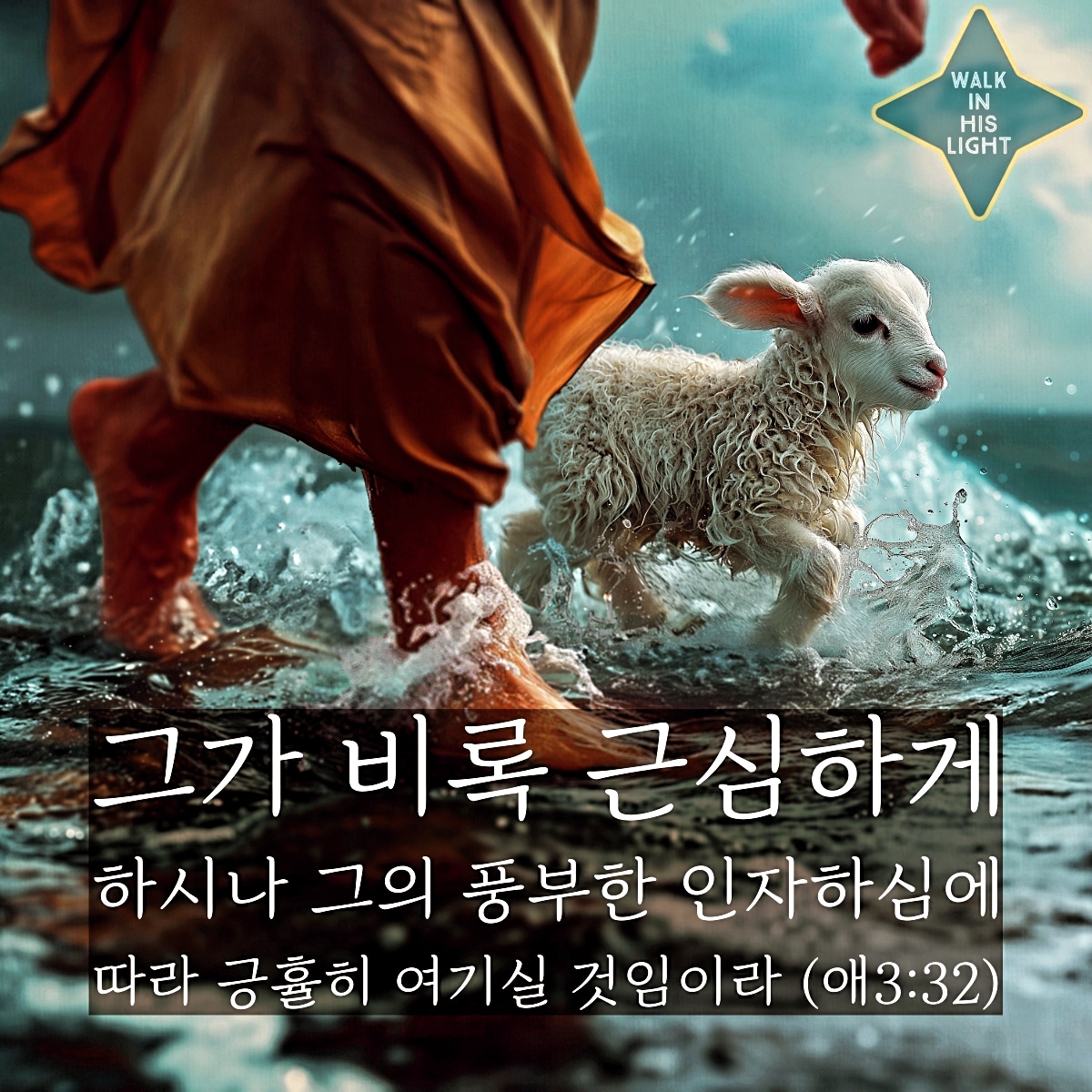 애가 이미지