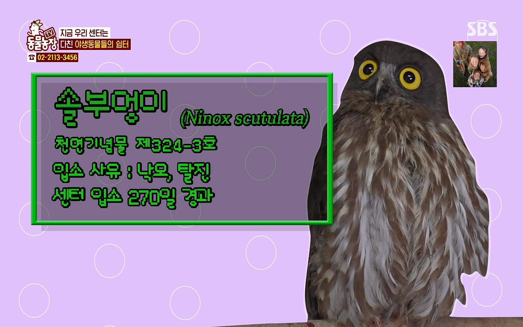 TV 동물농장.E1061.220320p.H264-F1RST.mp4_20220320_181606.258.jpg