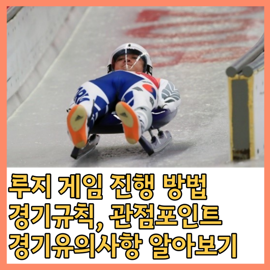  루지 게임 진행 방법, 경기규칙, 관점포인트, 경기유의사항 알아보기