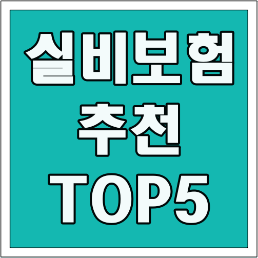 실비보험 추천 TOP 5 글씨 썸네일
