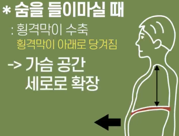 횡격막 호흡법 소개