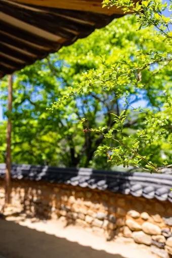 5월 경남 부산 근교 가볼만한곳 베스트10 명소_10