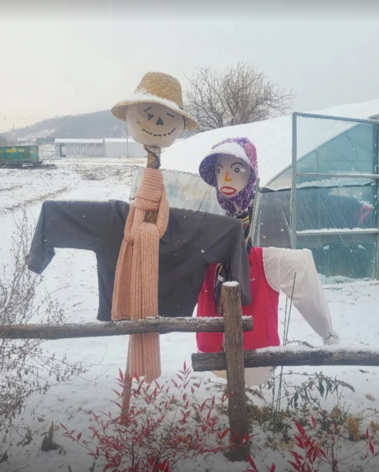 부여에서 아름다운 한옥체험, 내사랑, 내한옥집, 나나랜드 4