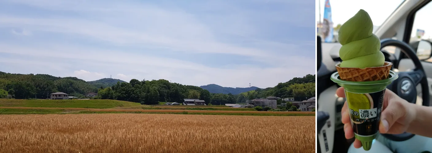 다카마쓰-야마고에-밀밭풍경