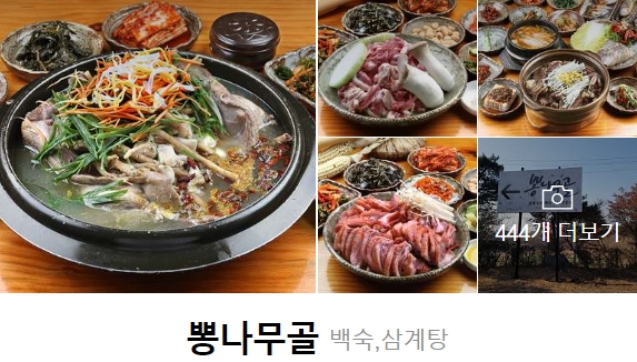 미스터오리 이미지