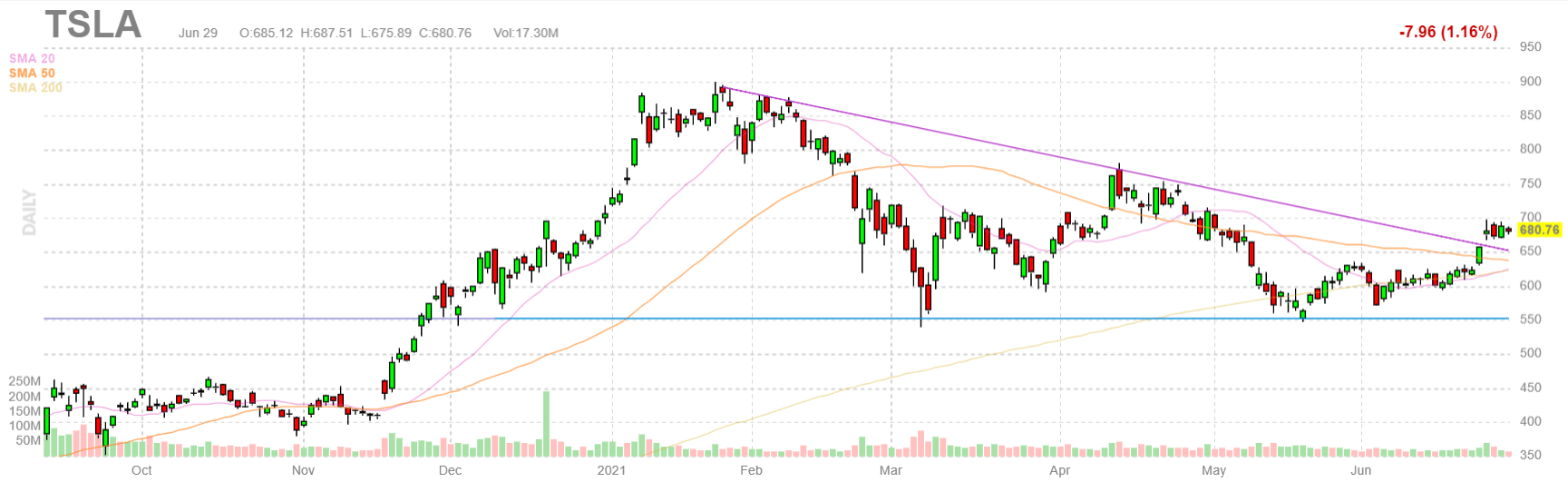  테슬라(TSLA) 주식 시장의 이익
