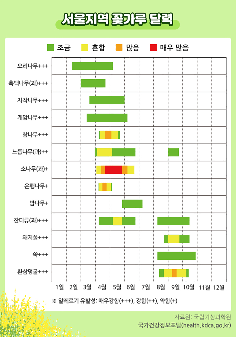 봄철 꽃가루 알레르기 예방 관리