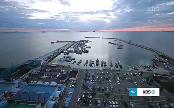 [마이크를 잡아라] 궁평항 수산물 센터 (경기 화성) .ts_20220906_205339.994.jpg