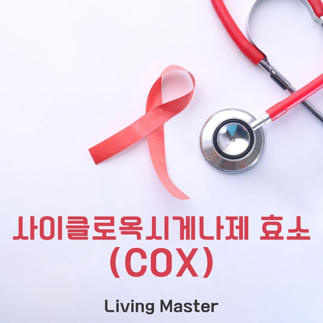 사이클로옥시게나제(COX) 효소란 무엇인가?