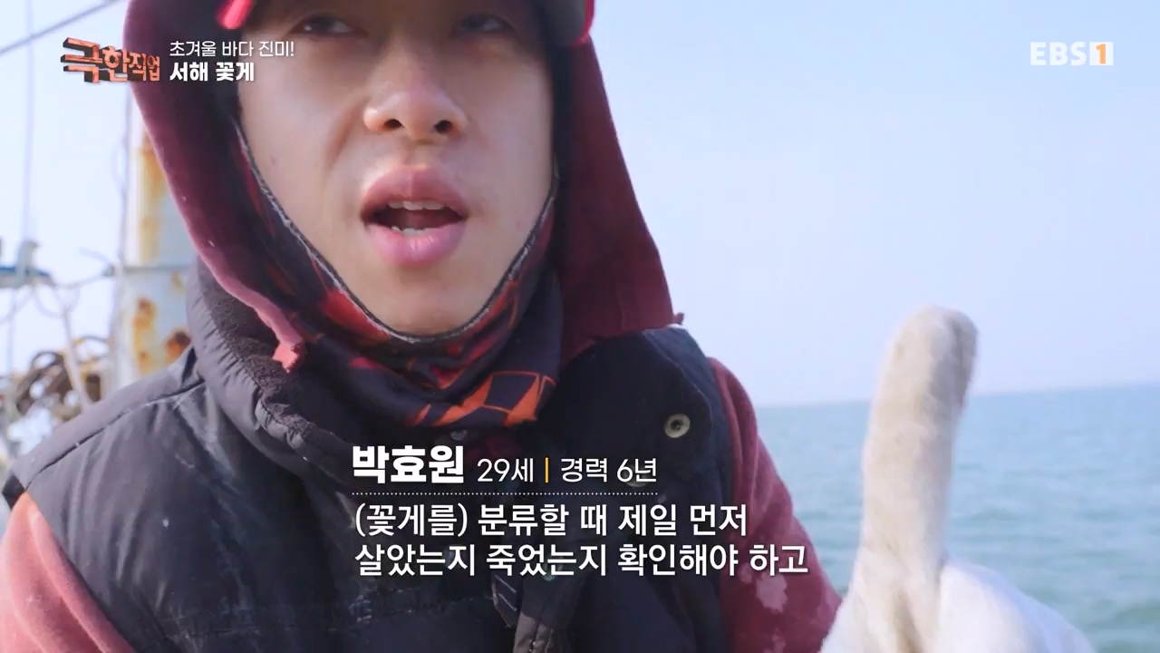 TV - 전 국민의 평생학교 EBS초겨울 바다 진미! 동해 방어, 서해 꽃게.mp4_20231228_204344.007.jpg
