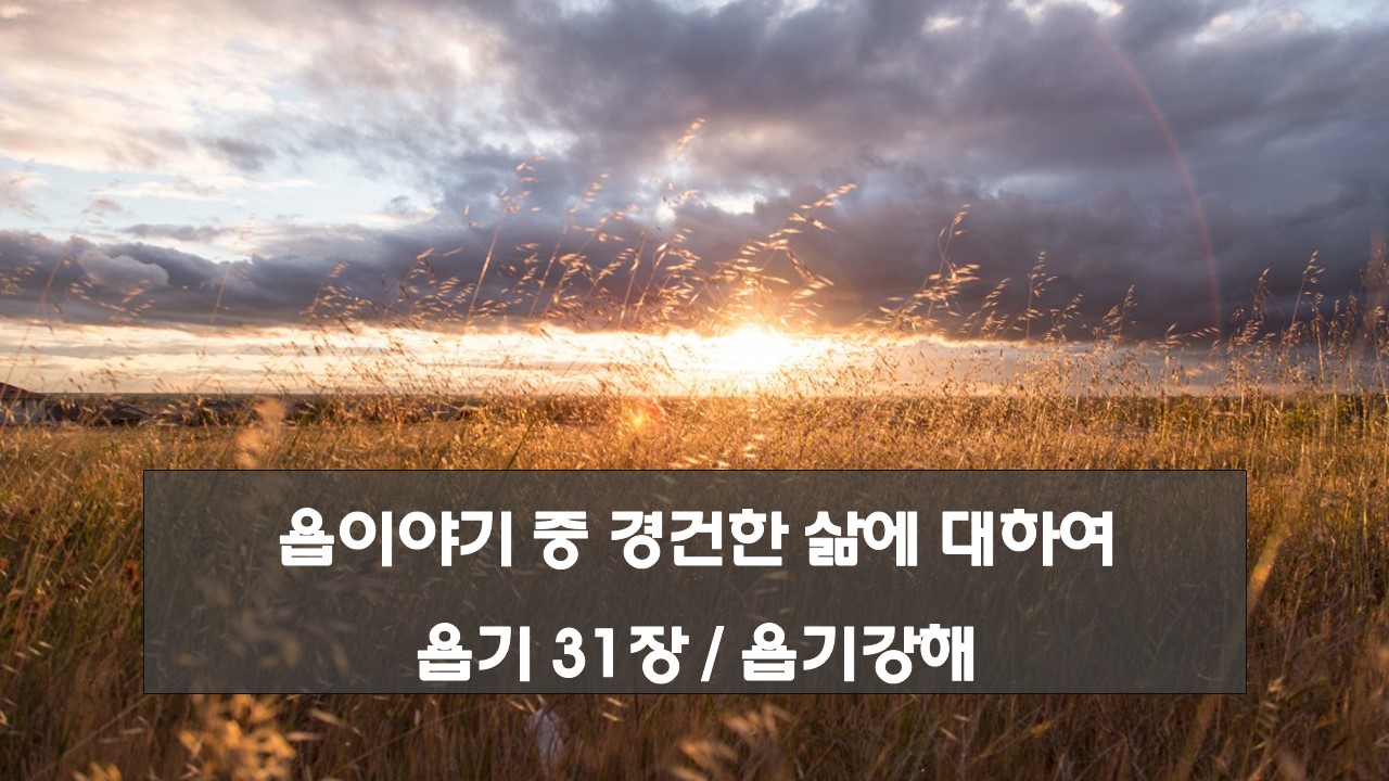 욥의 경건함 욥이야기 욥기강해 욥기31장