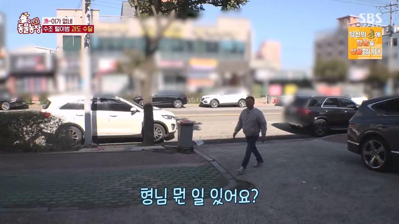 TV 동물농장.E1168.240422p-NEXT.mp4_20240421_170939.002.jpg