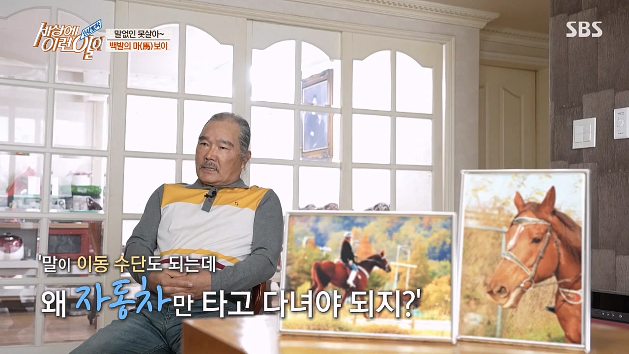 순간포착 세상에 이런일이.E1216.230208p-NEXT.mp4_20230208_194201.168.jpg