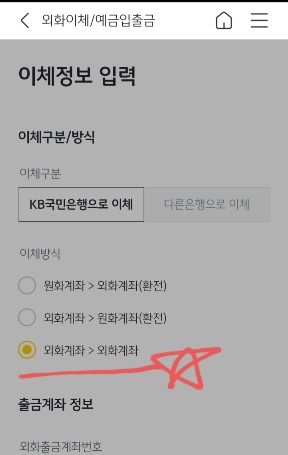 국민은행 외화이체